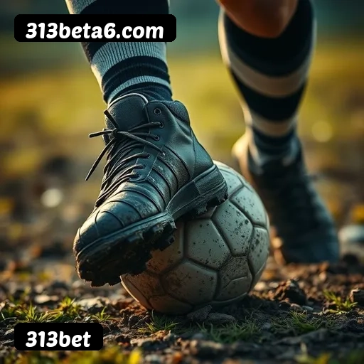 Comparação APP mobile vs versão web da 313bet